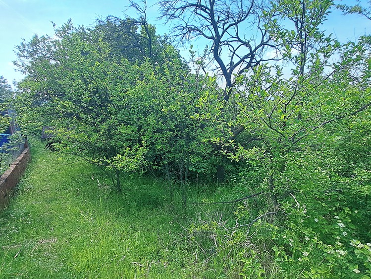 Ostatní