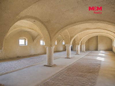 Комерційне приміщення в оренду, 204 м² (3 з 8)