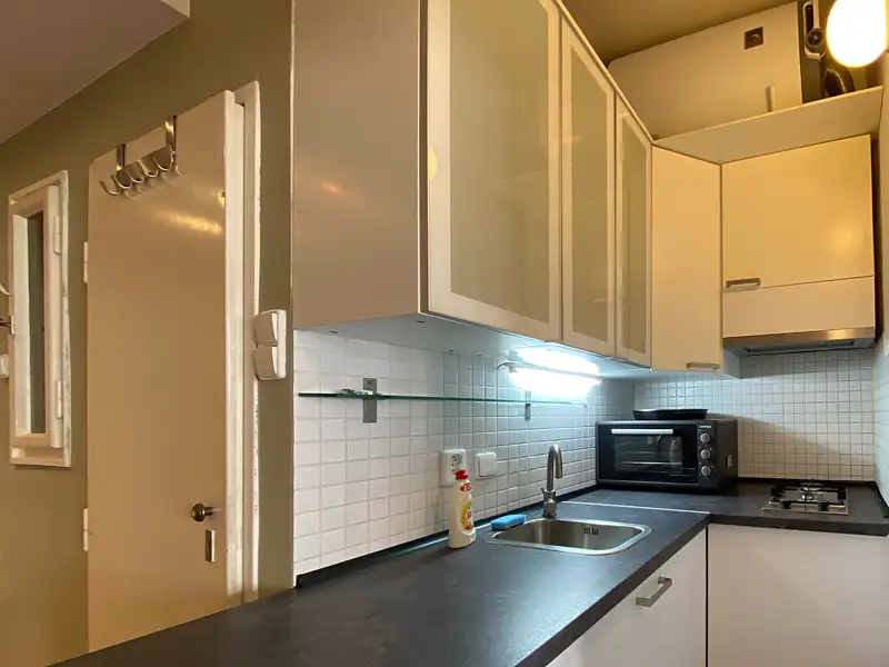 Pronájem bytu 1+kk 35 m², Praha – náhled fotky 2