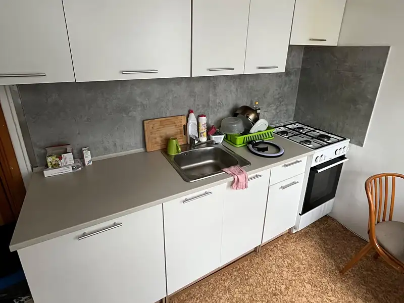 Prodej bytu 2+1 52 m², Nová Role – náhled fotky 2
