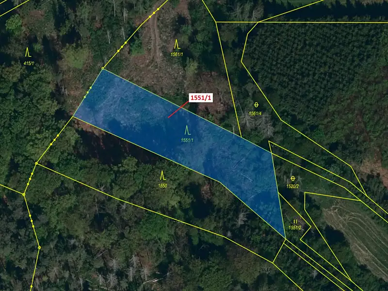 Dražba lesa 2478 m², Přibyslavice – náhled fotky 2