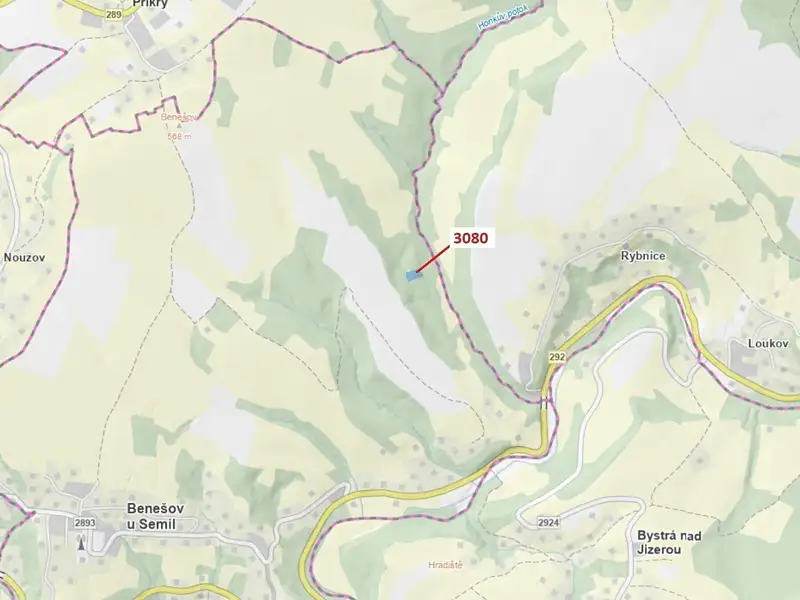 Dražba lesa 2540 m², Benešov u Semil – náhled fotky 1