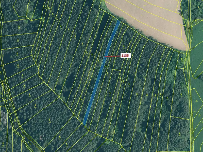 Dražba lesa 1789 m², Hosty – náhled fotky 2