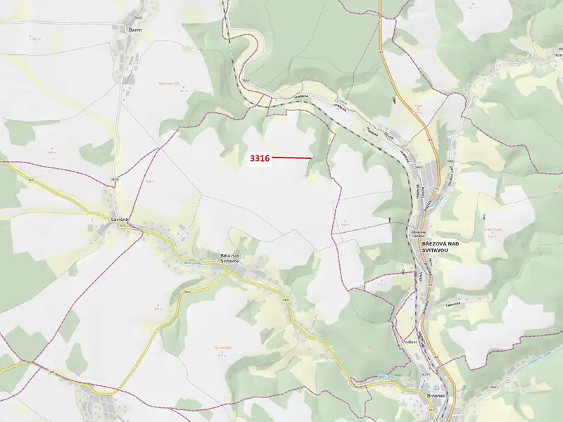Dražba lesa 327 m², Bělá nad Svitavou – náhled fotky 1