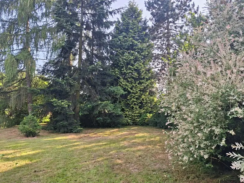 Prodej stavebního pozemku 1431 m², Havířov – náhled fotky 3