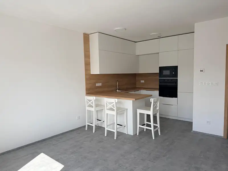 Pronájem bytu 3+kk 62 m², Brno – náhled fotky 1