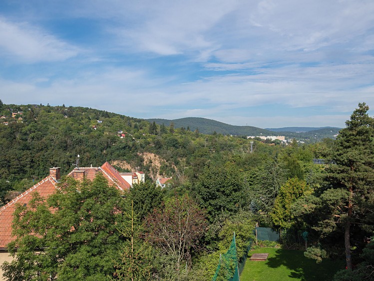Ostatní