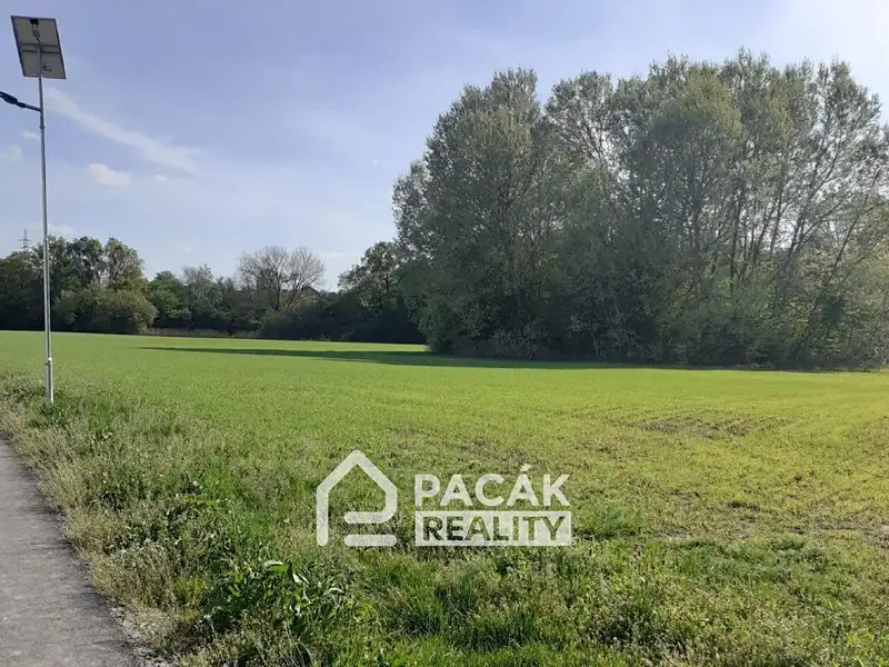 Prodej pole 15995 m², Kožušany-Tážaly – náhled fotky 3