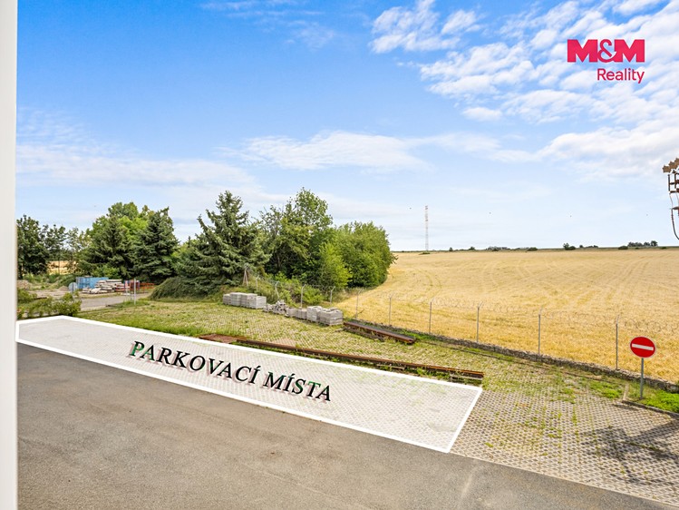 Комерційне приміщення в оренду, 451 м² (13 з 22)