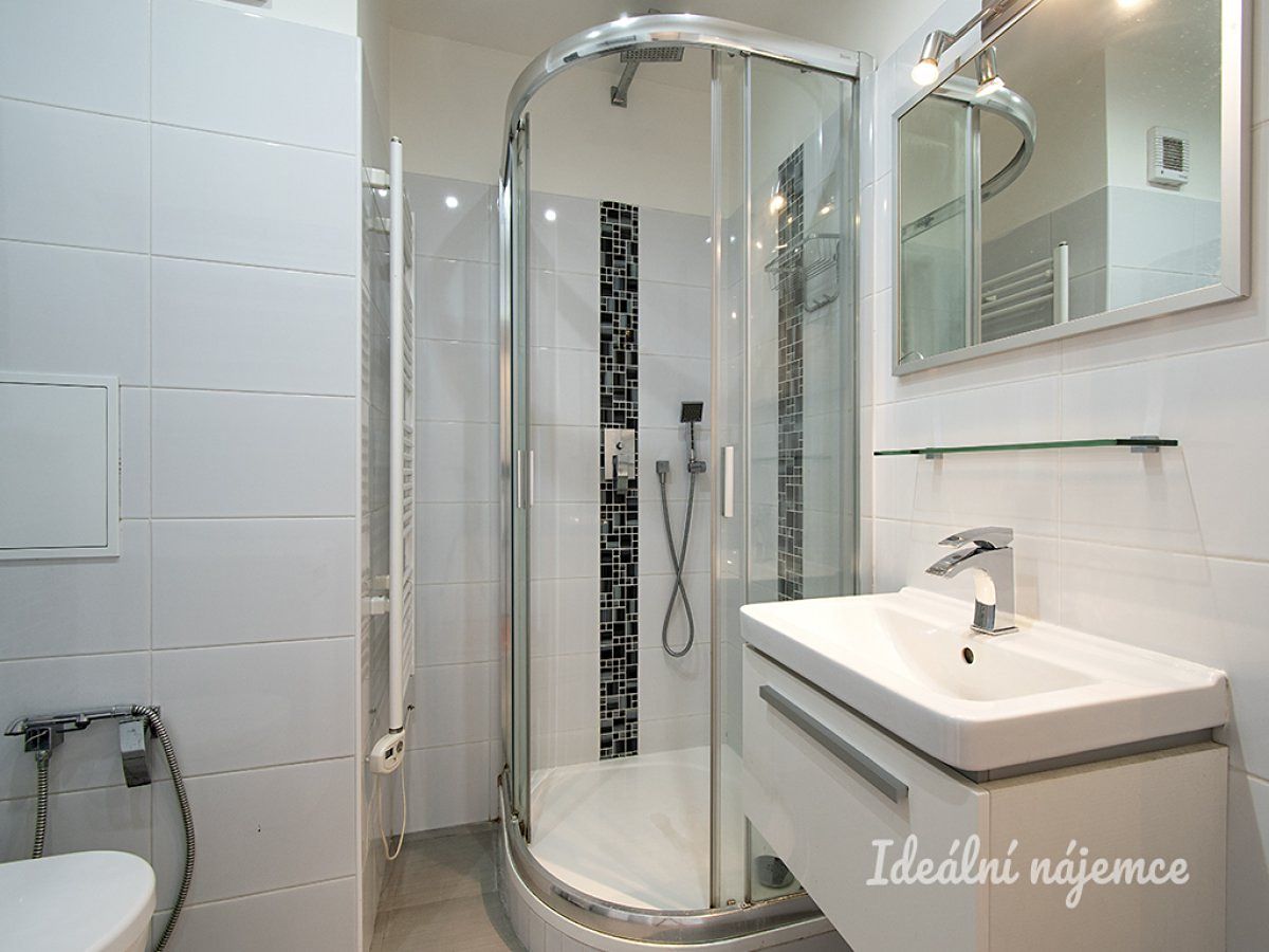 Pronájem bytu 1+kk 35 m² – fotografie 3