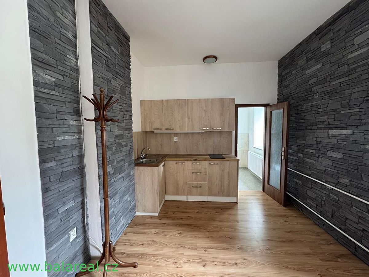 Pronájem bytu 1+1 43 m²
