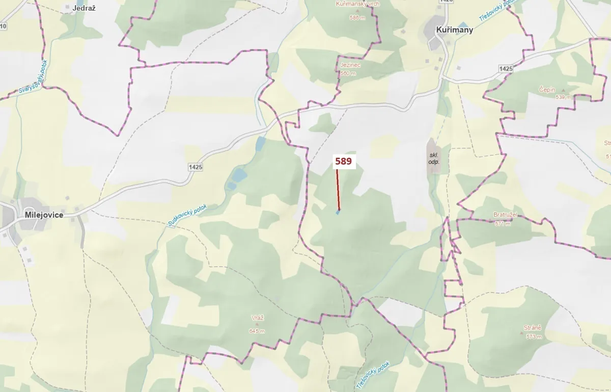 Dražba lesa 713 m²