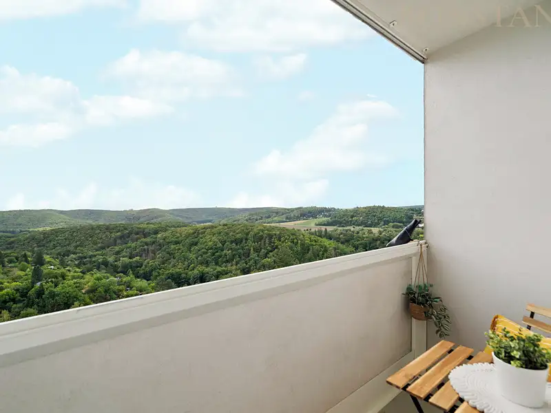 Prodej bytu 3+1 79 m², Brno – náhled fotky 3