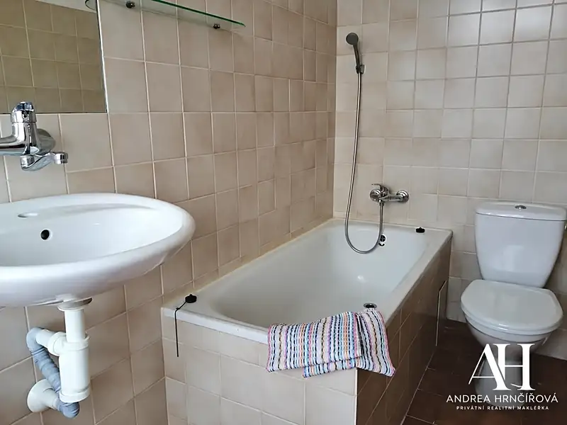 Pronájem bytu 1+kk 23 m², Praha – náhled fotky 2