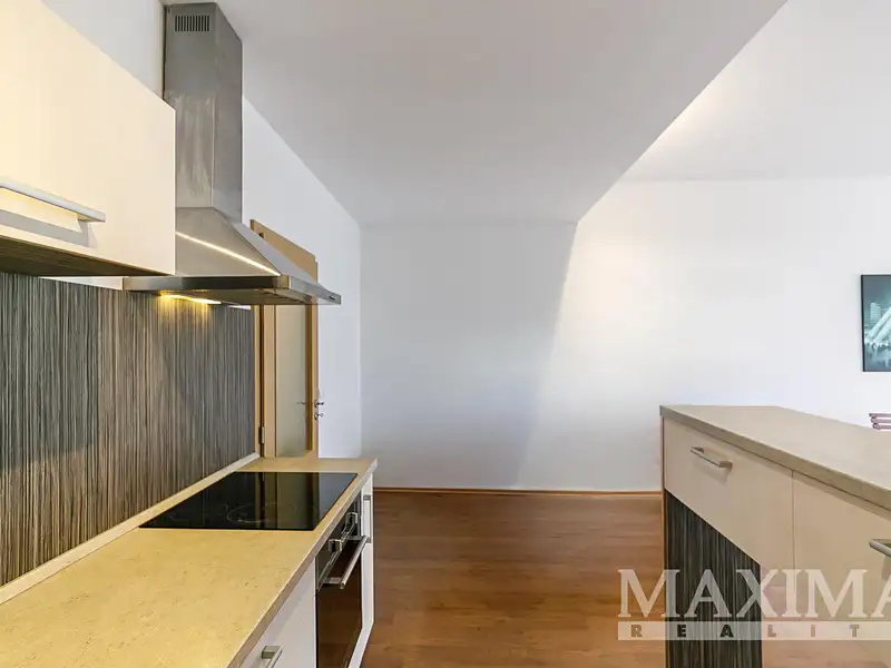 Pronájem bytu 1+kk 47 m², Praha – náhled fotky 3