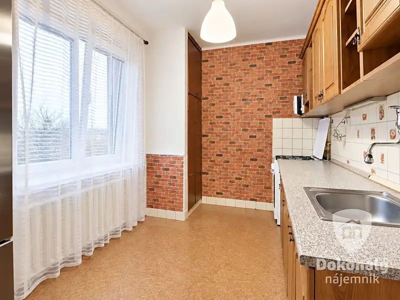 Pronájem bytu 2+1 49 m², Praha – náhled fotky 2