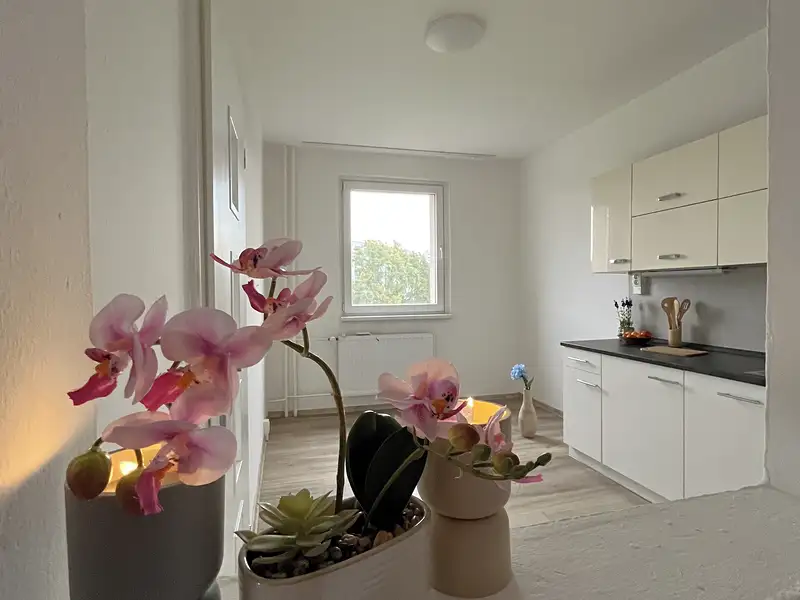 Pronájem bytu 3+1 58 m², Česká Lípa – náhled fotky 3