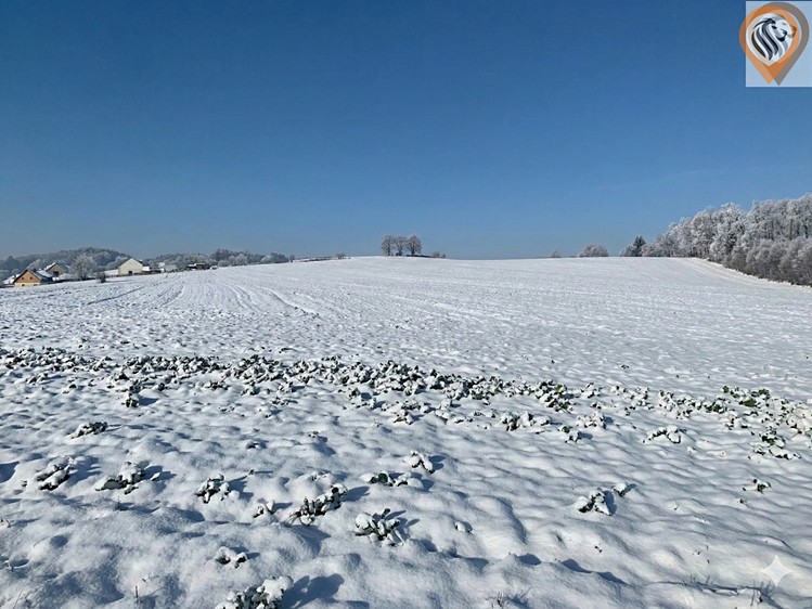 Prodej pozemku, 9 675 m² (29 z 30)
