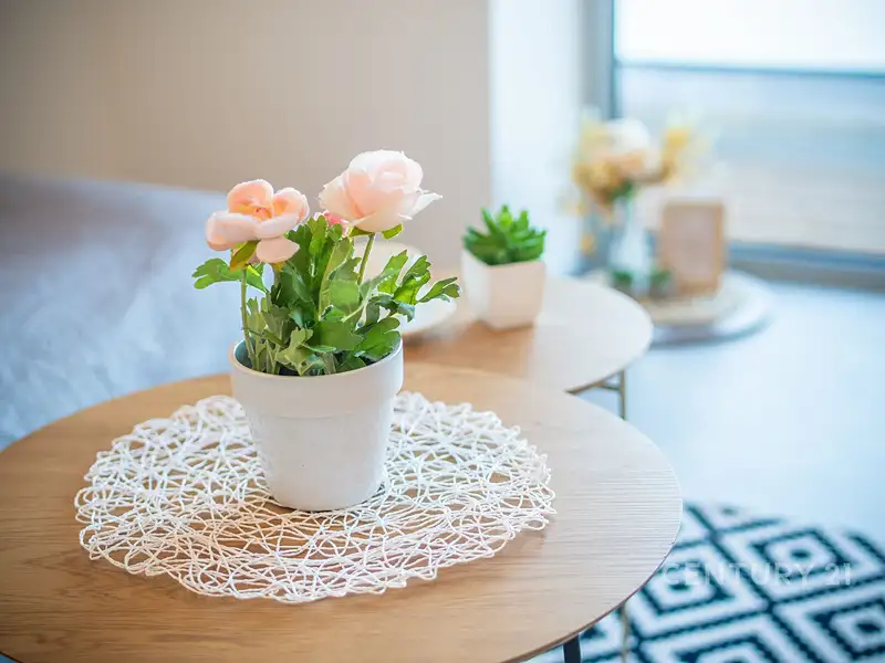 Prodej bytu 1+kk 31 m², Janov nad Nisou – náhled fotky 3