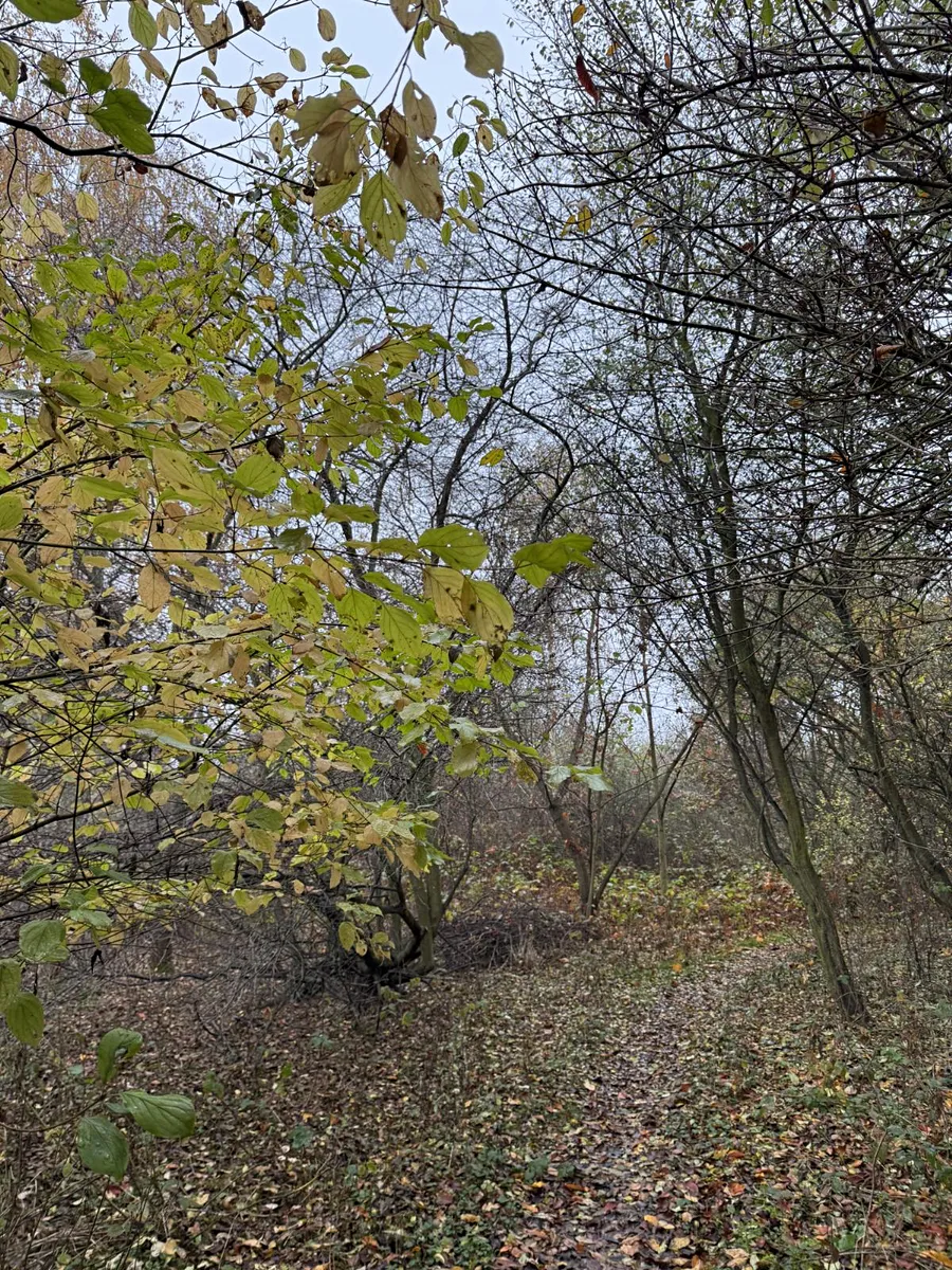 Prodej pozemku 9174 m²