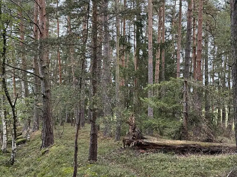 Prodej rybníku (vodní plochy) 9153 m², Slavče – náhled fotky 1