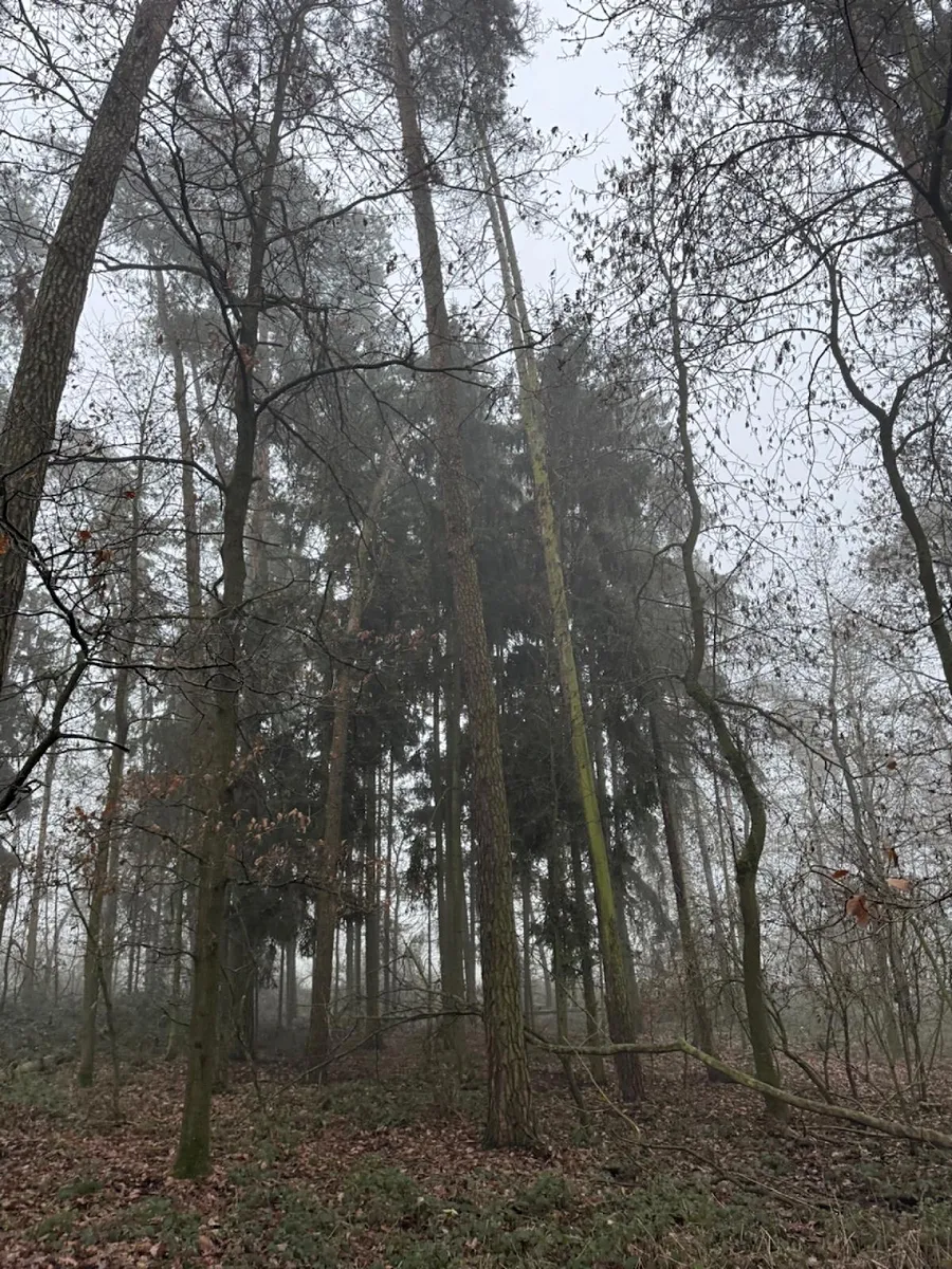 Fotka 6 z 17