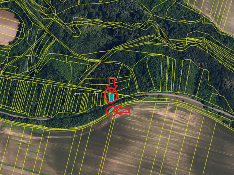 Prodej lesa 3133 m², Rybníky – náhled fotky 3