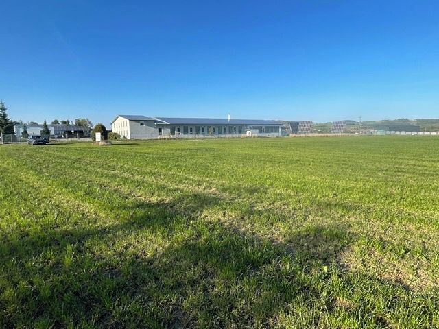 Prodej komerčního pozemku 10000 m², Petrovice – fotka 1 z 3