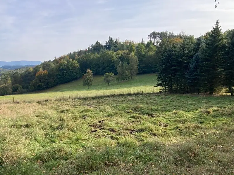 Prodej stavebního pozemku 1390 m², Děčín – náhled fotky 2