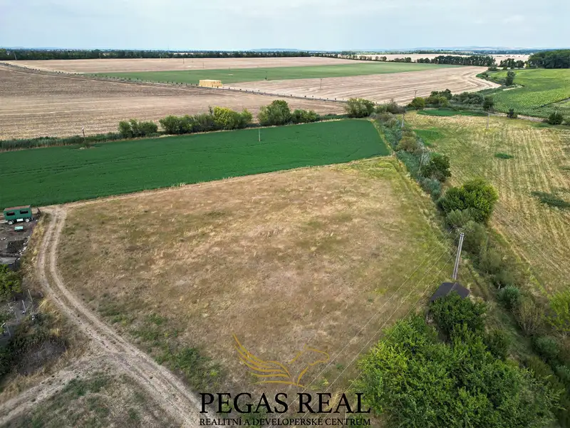 Prodej pole 4688 m², Jiřice u Miroslavi – náhled fotky 3
