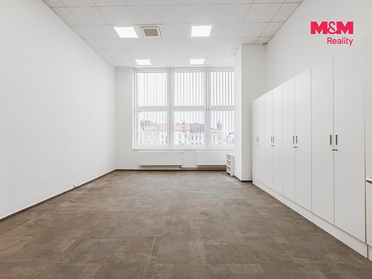 Pronájem komerčního prostoru, 396 m² (13 z 30)