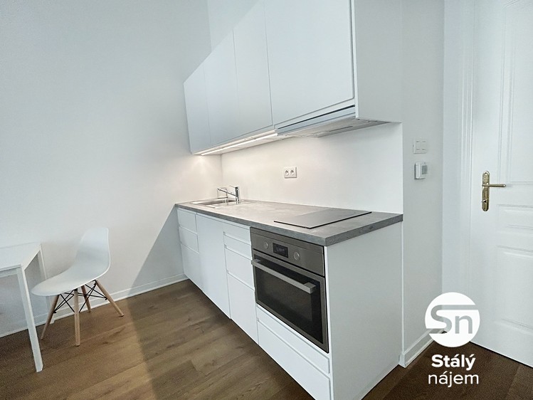 Wohnung 1+kk zur Miete, 42 m² (4 von 12)