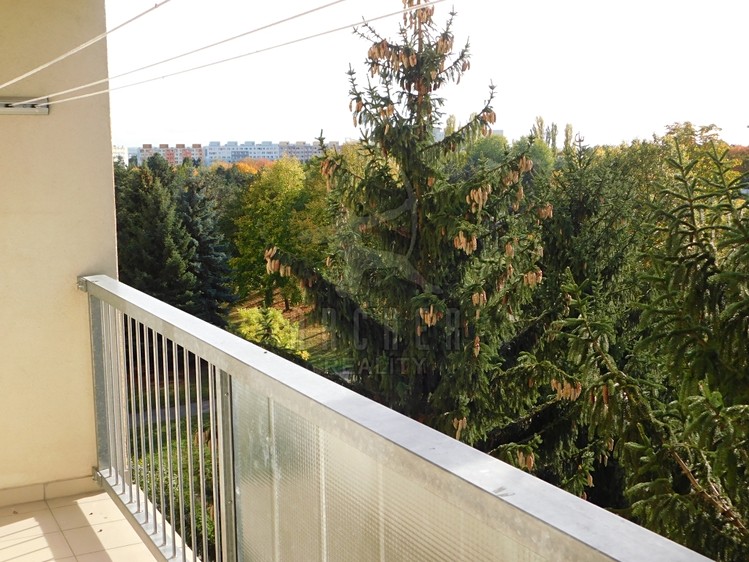 Prodej bytu 3+1, 72 m² (12 z 21)