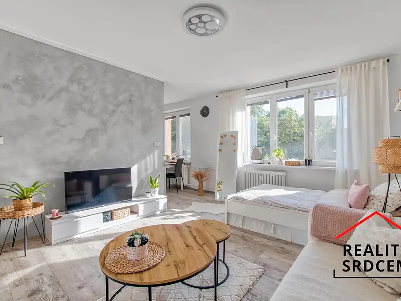Prodej bytu 1+1 35 m², Havířov – náhled fotky 1