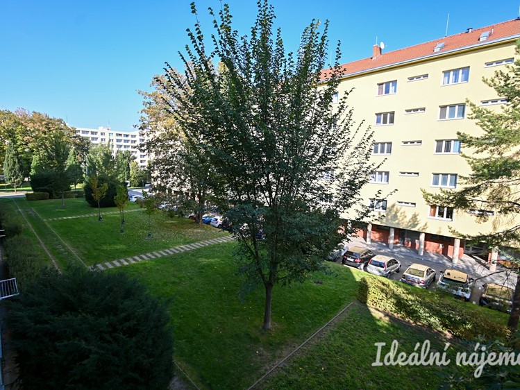 Ostatní