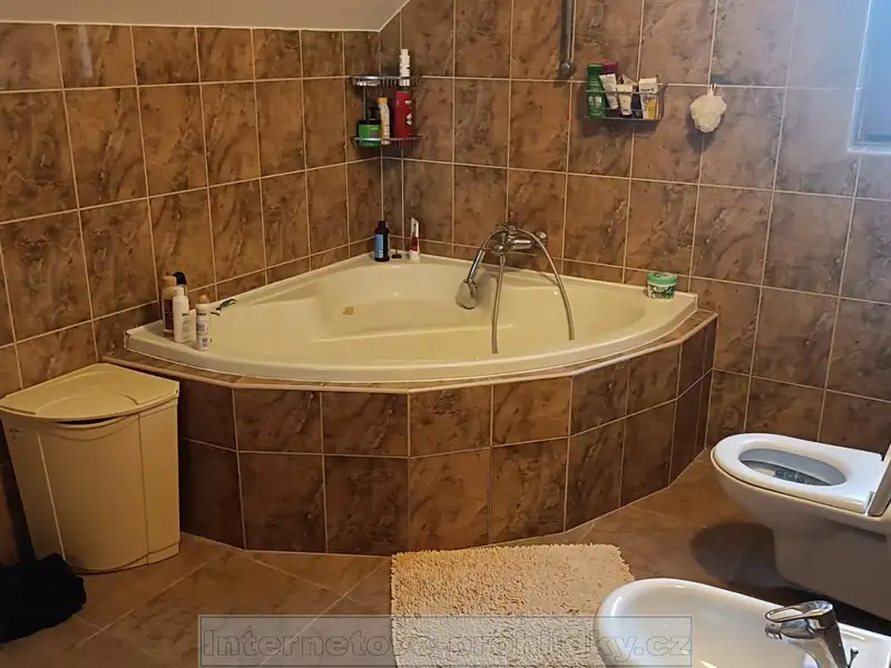 Pronájem bytu pokoje 21 m², Praha – náhled fotky 3