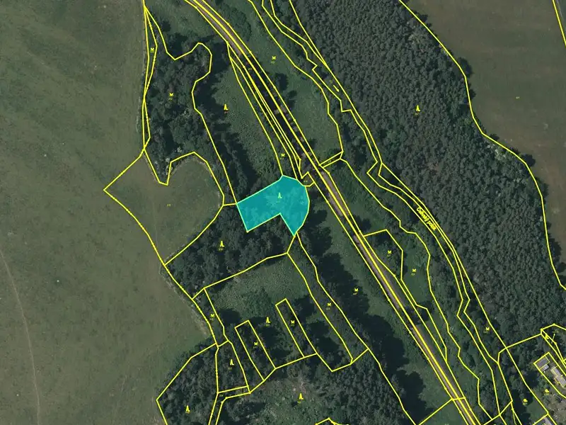 Dražba pozemku 3741 m², Konstantinovy Lázně – náhled fotky 2