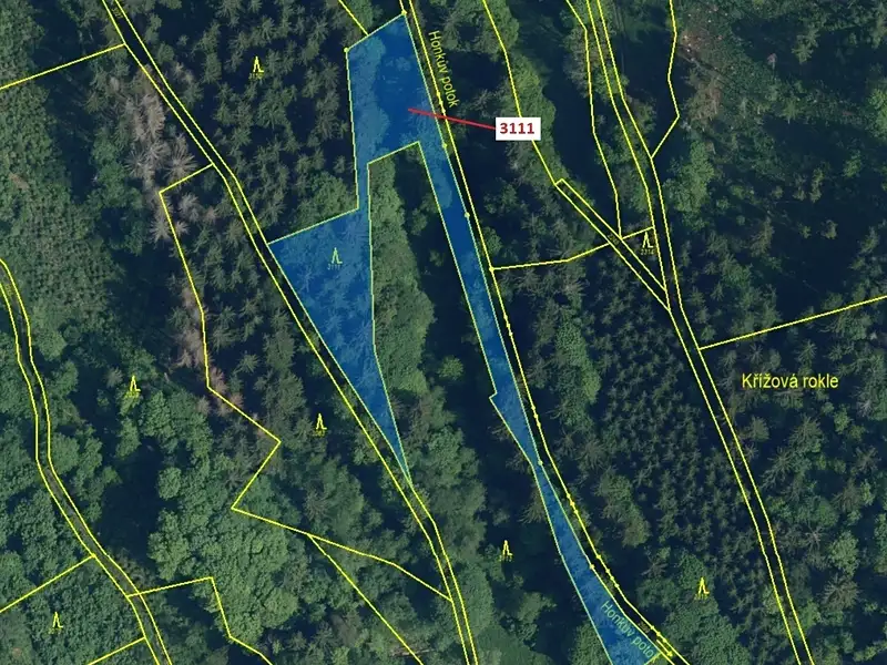 Dražba lesa 2958 m², Benešov u Semil – náhled fotky 2