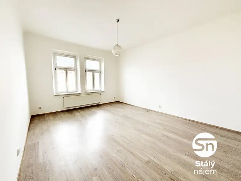 Pronájem bytu 1+1 55 m², Plzeň – náhled fotky 3