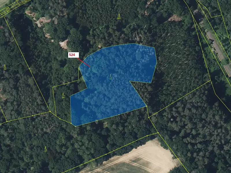 Dražba lesa 7596 m², Nebužely – náhled fotky 2