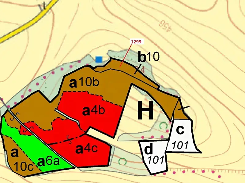 Dražba lesa 2275 m², Stebno – náhled fotky 3