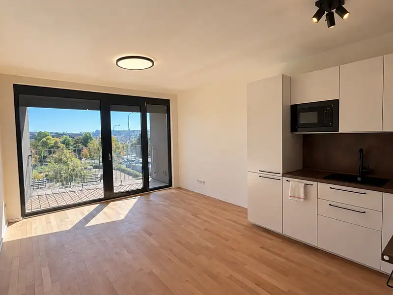 Pronájem bytu 1+kk 34 m², Praha – náhled fotky 2