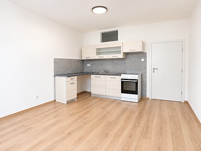 The 2+kk flat for sale, 54 m² (3 of 15)