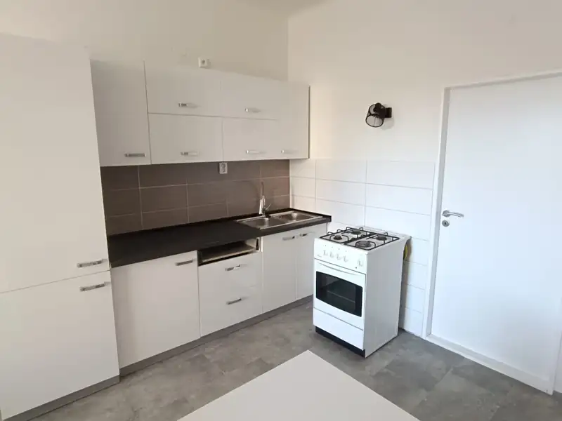 Pronájem bytu 2+kk 55 m², Plzeň – náhled fotky 3