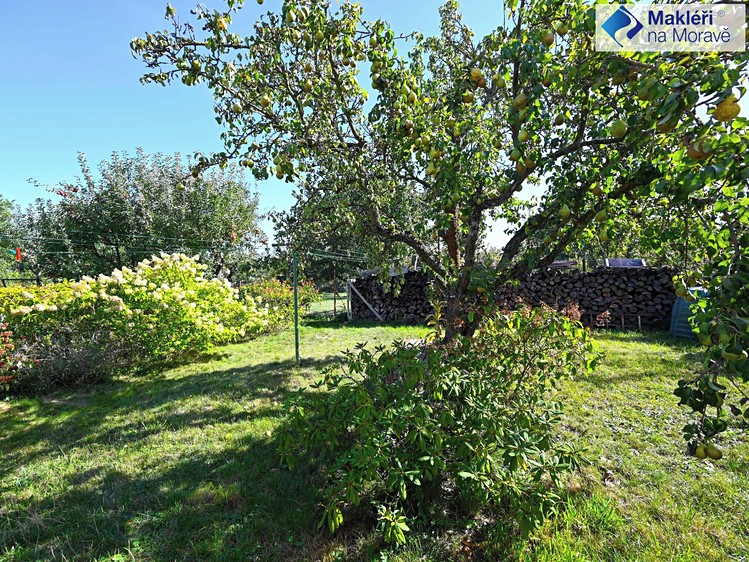 Haus zum Kauf, 239 m² (5 von 29)