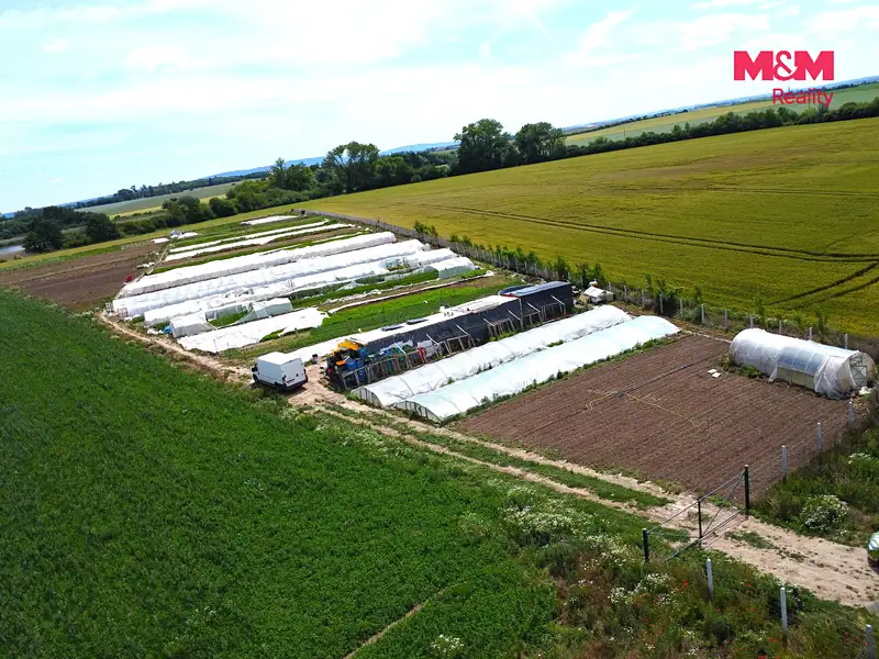 Prodej pole 18000 m², Nové Dvory – náhled fotky 3