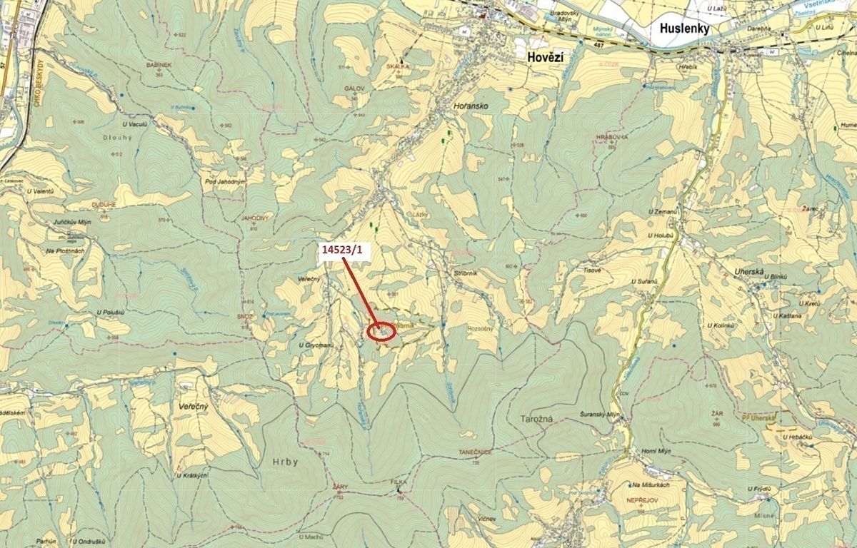 Dražba lesa 1547 m², Hovězí – fotka 1 z 3