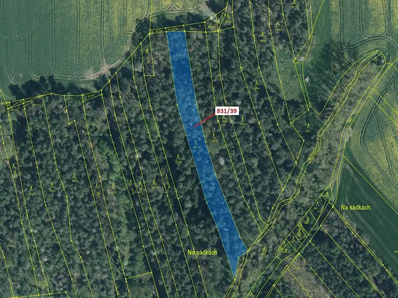 Dražba lesa 3368 m², Koloveč – náhled fotky 2