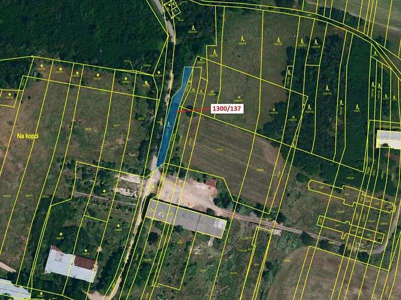 Dražba lesa 676 m², Morašice – náhled fotky 2
