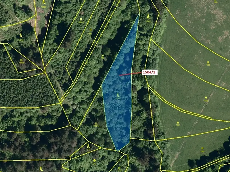 Dražba lesa 2626 m², Hovězí – náhled fotky 2